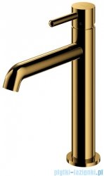 Omnires Y bateria umywalkowa 23 cm złoty połysk Y1212CGL