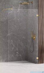 New Trendy Avexa Gold Shine kabina Walk-In 60x200 cm przejrzyste EXK-2155