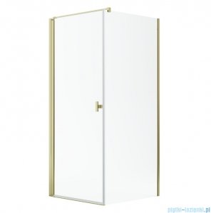 Radaway Nes Kdj I Gold kabina 100x80cm lewa złoty połysk 10022100-09-01L/10039080-01-01