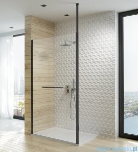 Sanplast Altus PI/ALTIIa kabina walk-in 100x212 cm czarny matowy 600-121-2541-59-401