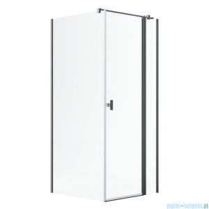 Radaway Nes Kdj II Brushed GunMetal kabina 100x75cm prawa szczotkowany grafit 10032100-92-01R/10039075-01-01