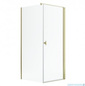 Radaway Nes Kdj I Gold kabina 100x70cm prawa złoty połysk 10022100-09-01R/10039070-01-01