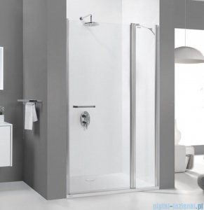 Sanplast drzwi skrzydłowe szkło: przejrzyste  DJ2/PRIII-100    600-073-0790-01-401