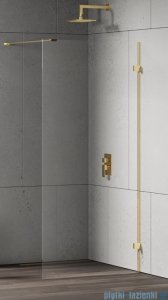 New Trendy Eventa Gold Shine kabina walk-in 50x200 cm przejrzyste Złoty połysk EXK-4836