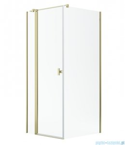 Radaway Nes Kdj II Gold kabina 100x75cm lewa złoty połysk 10032100-09-01L/10039075-01-01