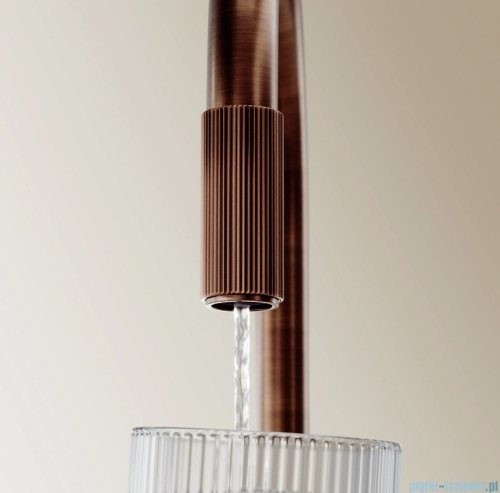 Omnires Switch bateria kuchenna z wyciąganą wylewką do podłączenia zestawu filtrującego miedź antyczna szczotkowana SW9059ORB