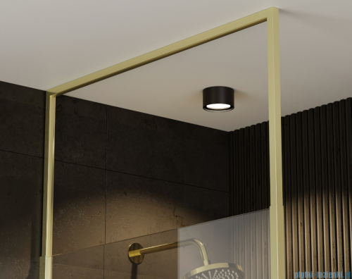 Besco Icon Gold 100x200cm kabina walk-in Złoty połysk/szkło  przejrzyste ICG-100-200C