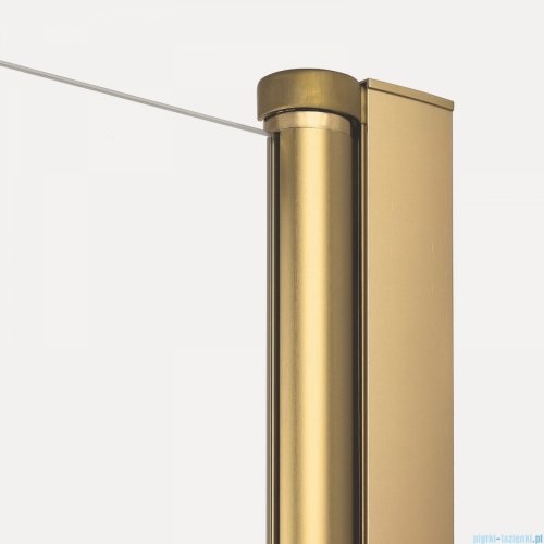 New Trendy New Soleo Gold Brushed 100x90x195 cm kabina wspornik prosty złoto szczotkowane/szkło przejrzyste K-4190-WP