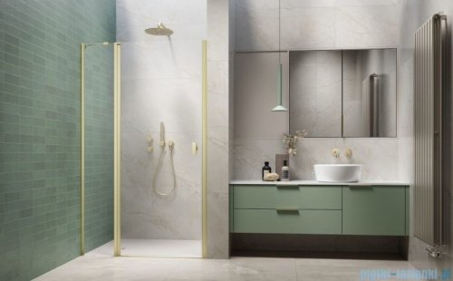 Radaway Nes Brushed Light Gold Dwj II Drzwi wnękowe 100cm lewe szczotkowane jasne złoto szkło przejrzyste 10036100-98-01L