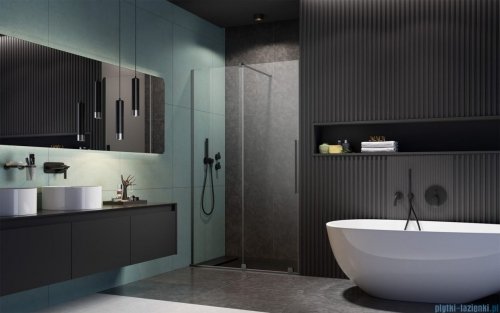 Radaway Furo Brushed GunMetal DWJ drzwi prysznicowe 160cm lewe szczotkowany grafit 10107822-92-01L/10110780-01-01