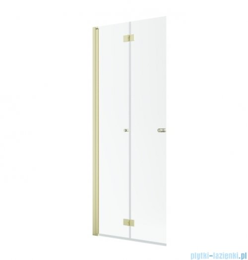 Radaway Nes 6 KDD B Brushed Light Gold kabina walk-in 100cm lewa szczotkowane jasne złoto szkło przejrzyste 10024100-98-01L