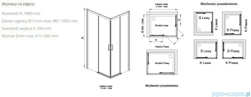 Sanplast Free Zone KNL(P)/FREEZONE kabina kwadratowa 100x100x190 cm czarny matowy 600-271-3520-59-401