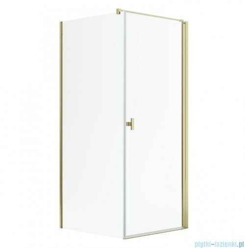 Radaway Nes Kdj I Gold kabina 100x80cm prawa złoty połysk 10022100-09-01R/10039080-01-01