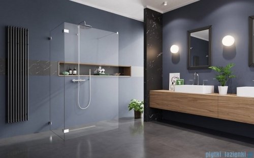 Radaway Euphoria Walk-in VI 110x80 szkło przejrzyste 383173-01-01/383150-01-01