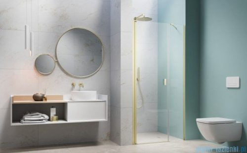 Radaway Nes Brushed Light Gold Dws Drzwi wnękowe 120cm lewe szczotkowane jasne złoto szkło przejrzyste 10028120-98-01L