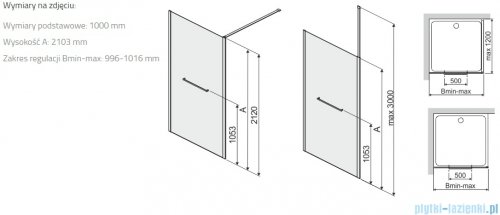 Sanplast Altus PI/ALTIIa kabina walk-in 100x212 cm czarny matowy 600-121-2541-59-401