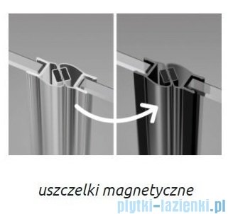 Radaway Essenza 8 Black Ptj kabina pięciokątna 100x100cm lewa czarny mat/szkło przejrzyste 10490000-54-01L/10490300-01-01