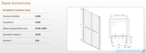 Sanplast drzwi skrzydłowe wahadłowe DD/PRIII 120x195 cm przejrzyste 600-073-0960-38-401
