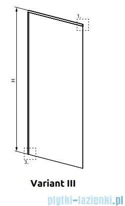 Radaway Modo XL kabina Walk-in 30-100×250-300 szkło przejrzyste 10mm 389405-01-01