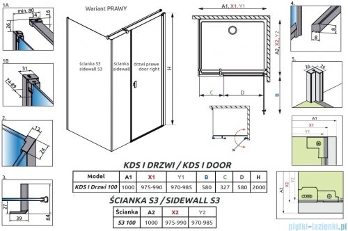 Radaway Nes Kds I Brushed Nickel kabina 100x100cm prawa szczotkowany nikiel 10023100-91-01R/10043100-91-01