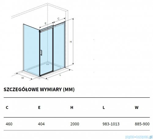 Excellent Rols kabina prostokątna 100x90 cm przejrzysta chrom KAEX.2616.K.1000.0900.CR