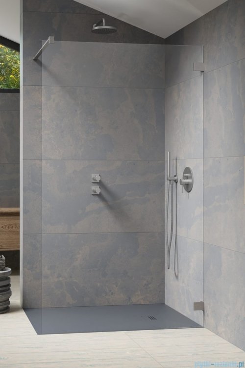 Radaway Essenza Pro Brushed Nickel 120x200 kabina Walk-in szczotkowany nikiel 10103120-91-01 