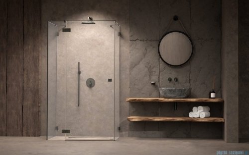 Radaway Essenza Pro Brushed GunMetal Kdj+S kabina 100x90x100cm lewa szczotkowany grafit 10097390-92-01L/10098100-01-01/10098100-01-01