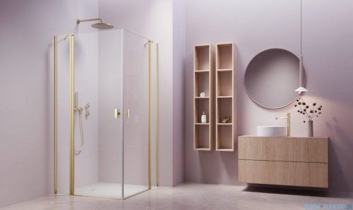 Radaway Nes 6 Kdd II Brushed Light Gold kabina 80x100cm szczotkowane jasne złoto 10031080-98-01L/10031100-98-01R