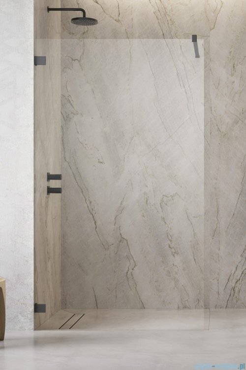 Radaway Essenza Pro Brushed GunMetal 135x200 kabina Walk-in szczotkowany grafit 10103135-92-01 