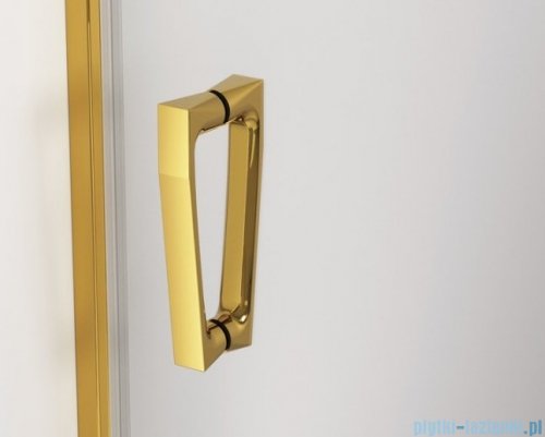 SanSwiss Cadura Gold Line drzwi przesuwne 120cm jednoskrzydłowe lewe z polem stałym CAS2G1201207