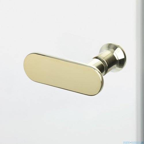 New Trendy New Soleo Light Gold 80x90x195 cm kabina prawa drzwi składane pojedyncze wspornik skośny złoty połysk/szkło przejrzyste K-1927
