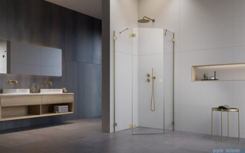 Radaway Essenza Pro Brushed Gold Ptj kabina pięciokątna 80x100 lewa szczotkowane złoto 10100000-99-01L/10100500-01-01