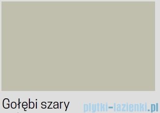 Novellini Skill 2A kabina z hydromasażem prawa gołębi szary 120x80 SKIA129DT1F-1AN2