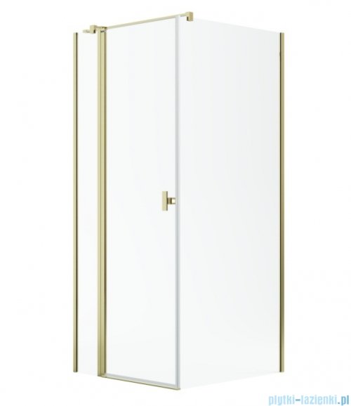 Radaway Nes Kdj II Gold kabina 100x90cm lewa złoty połysk 10032100-09-01L/10039090-01-01