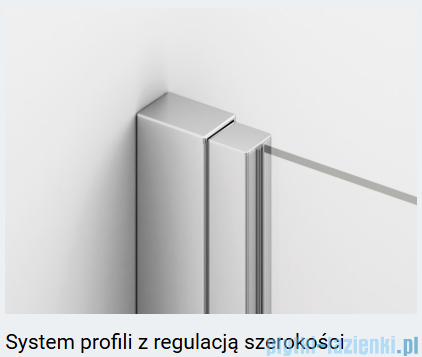Ronal ANNEA AN13 Drzwi jednoczęściowe ze ścianką stałą w linii 100x200cm lewe nikiel szczotkowany AN13G10002507