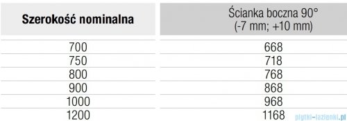 Ronal ANNEA ANT1 Ścianka wolnostojąca Walk-in 100x200 cm z profilem przyściennym srebrny połysk ANT110005007
