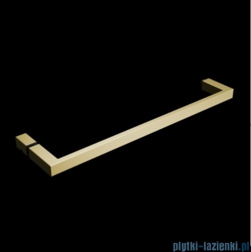 Radaway Nes 6 Kdj I Brushed Light Gold kabina 100x70cm lewa szczotkowane jasne złoto 10022100-98-01L/10039070-01-01