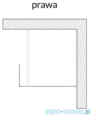 Clusi Ares kabina Walk-in z ścianką boczną 100x200 cm prawa przejrzyste  3329ARE100P