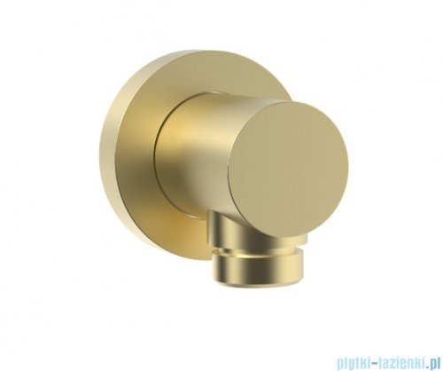 Roca kolanko ścienne Aqua ROUND 1/2" do podłączenia natrysku Brushed Gold (Everlux-PVD) A5B1450VA0
