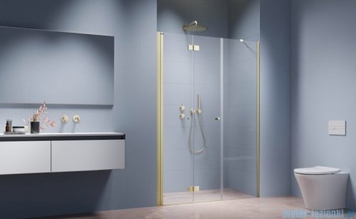 Radaway Nes Brushed Light Gold DWSB Drzwi wnękowe 110cm W3  lewe szczotkowane jasne złoto szkło przejrzyste 10044650-98-01L/10045450-01-01
