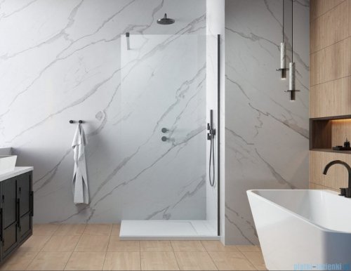 Radaway Modo New II Brushed GunMetal kabina Walk-in 60x200 szczotkowany grafit 389064-92-01