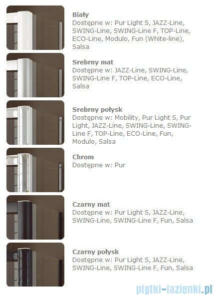 SanSwiss TOPP2 Drzwi 2-częściowe 90cm profil srebrny TOPP209000107