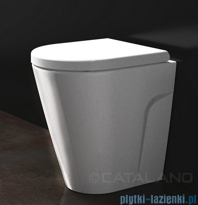 Catalano Zero miska WC stojąca 45x35 biała 1VP4500