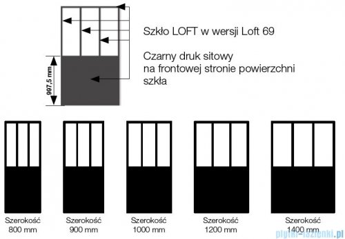 SanSwiss Loft Attic 69 kabina Walk In Easy 120cm profile czarne STR4P1200669
