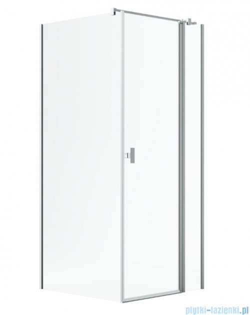 Radaway Nes Kdj II Brushed Nickel kabina 100x70cm prawa szczotkowany nikiel 10032100-91-01R/10039070-01-01