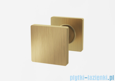 Ronal ANNEA AN13 Drzwi jednoczęściowe ze ścianką stałą w linii 75x200cm lewe złoto szczotkowane AN13G07501307