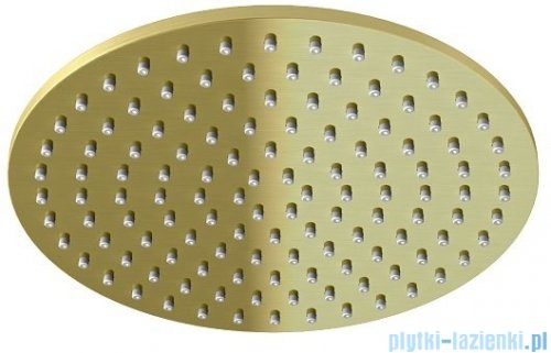Kohlman Experience Brushed Gold zestaw prysznicowy z deszczownicą 30 cm złoto szczotkowane QW210EGDBR30