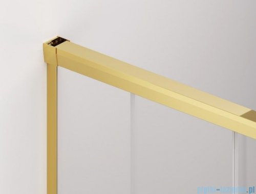 SanSwiss Cadura Gold Line drzwi przesuwne 110cm jednoskrzydłowe prawe z polem stałym CAS2D1101207