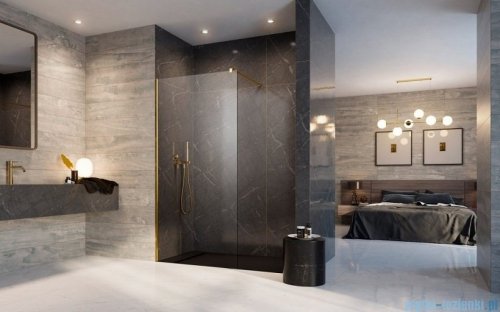 Radaway Modo New Gold II kabina Walk-in 120x200 złoty połysk/szkło przejrzyste 389124-09-01