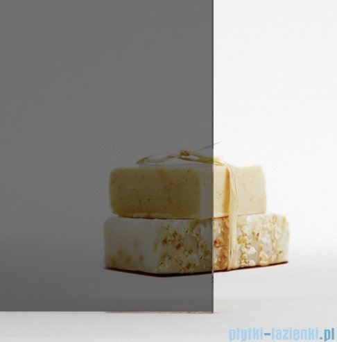 Radaway Nes 6 KDD B Brushed Light Gold kabina walk-in 90cm lewa szczotkowane jasne złoto szkło przejrzyste 10024090-98-01L